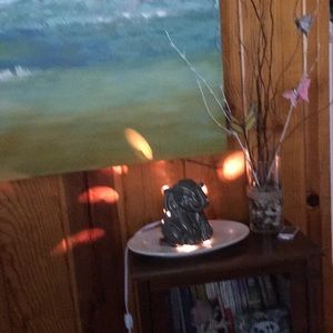 Meet your Posher, Lee